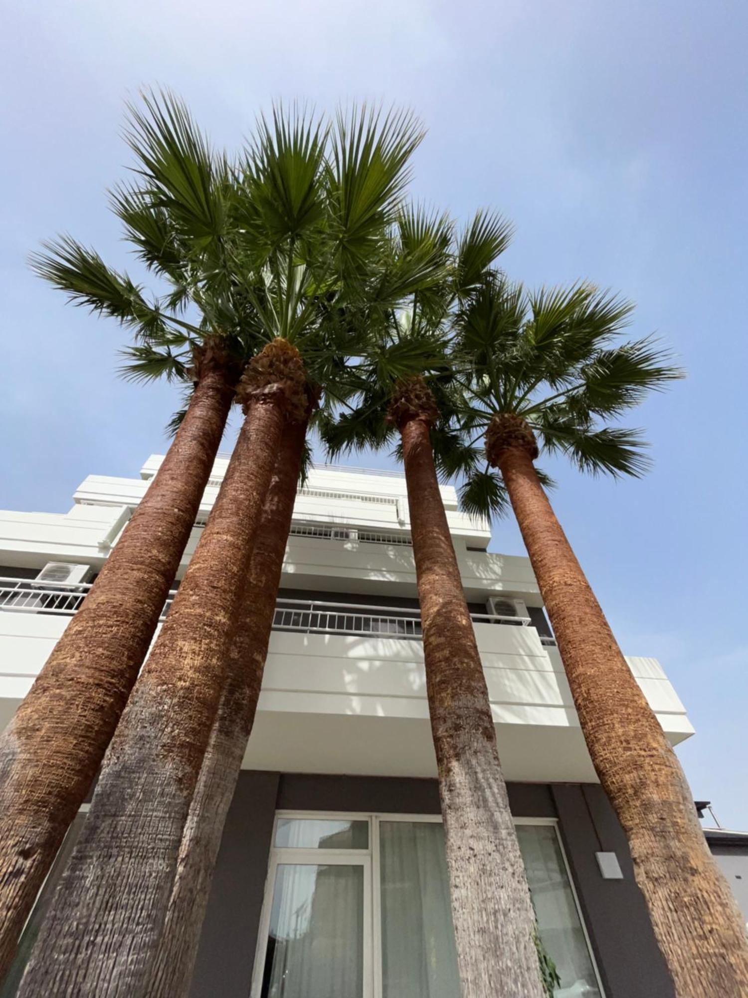Hotel Mediterraneo Ombrellone E Lettini Inclusi Martinsicuro Bagian luar foto